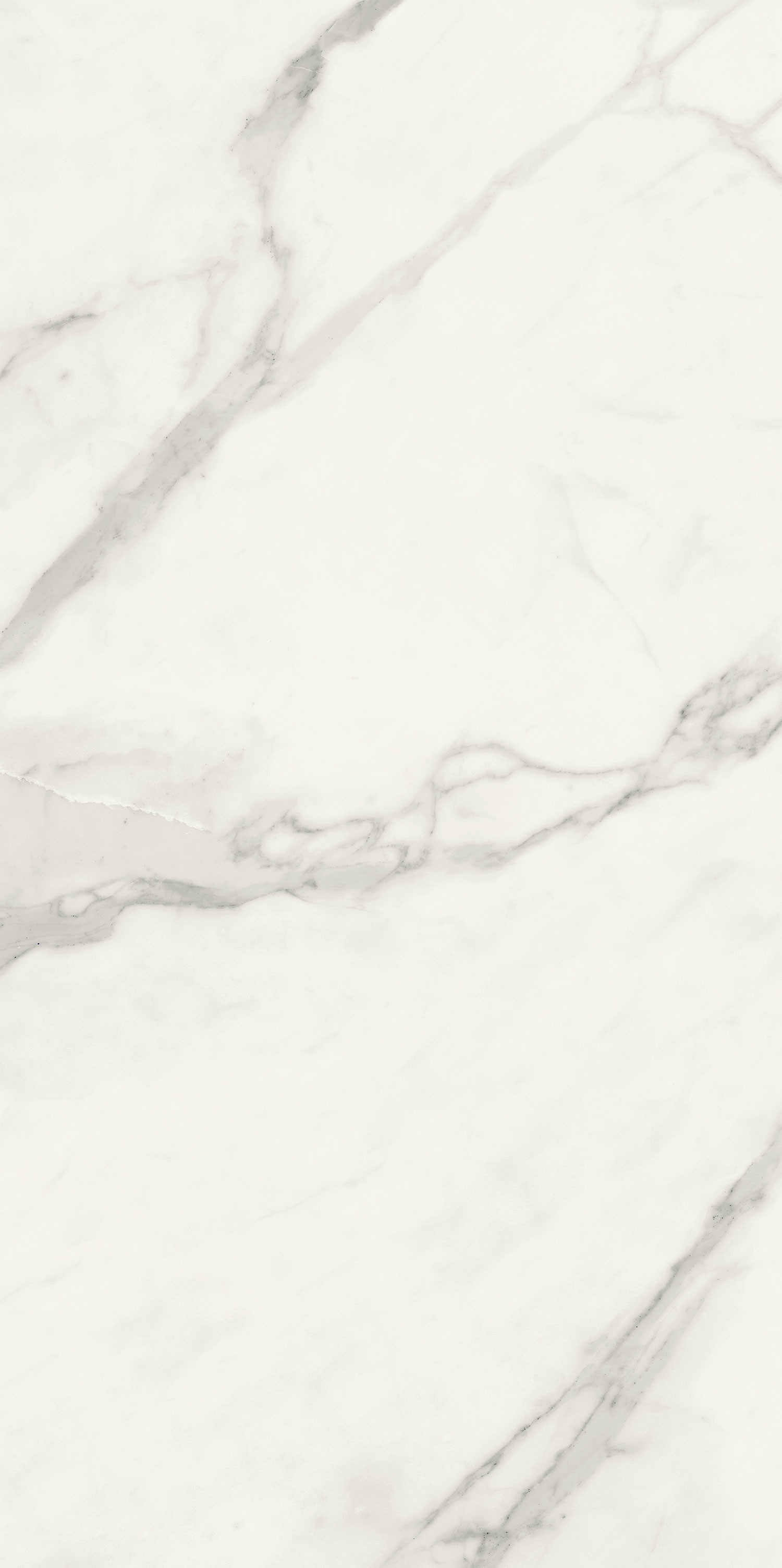 Płytka gresowa TUBĄDZIN Pietrasanta biała MAT 598 1198 mm  | PP01181119805981054