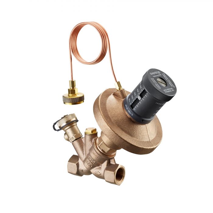 Regulator różnicy ciśnień Hydromat DN 50 2" GW PN 16 250-700 mbar