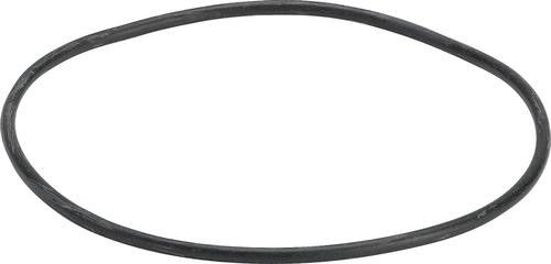 O-ring VIEGA Advantix 4943.20 | 556402