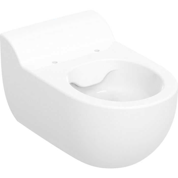 Miska WC ceramiczna wisząca GEBERIT BAMBINI Rimfree 33.5 x 53 cm biała  | 502959001