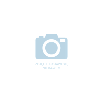 Wkład filtracyjny kompletny dla filtrów 1" - 1 1/4" siatka 100 mikronów