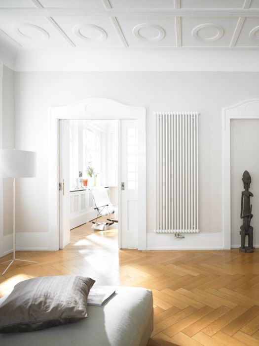 Grzejnik żeberkowy stalowy Charleston 3045 20 elementów 450 x 920 x 100 mm 936 W P3470 0325 - Technoline 20 elementów