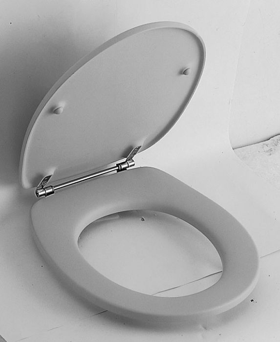 Deska sedesowa VILLEROY & BOCH O.novo z zawiasami ze stali szlachetnej weiss alpin | 88246101